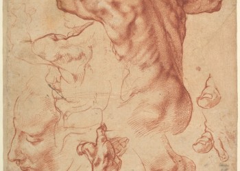 Accademia Gallery Visit and Florence City Tour