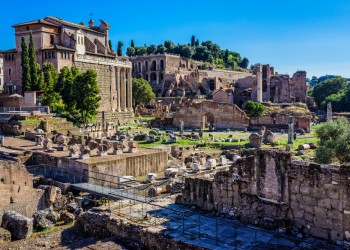 Ancient Rome Guided Tour: Colosseum, Roman Forum and Palatine Hill